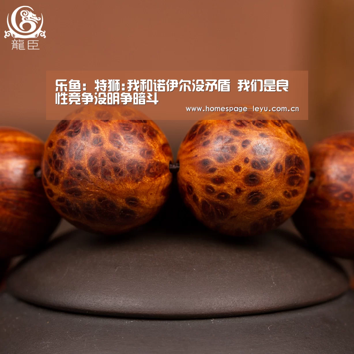 乐鱼：特狮:我和诺伊尔没矛盾 我们是良性竞争没明争暗斗