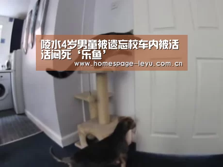 乐鱼