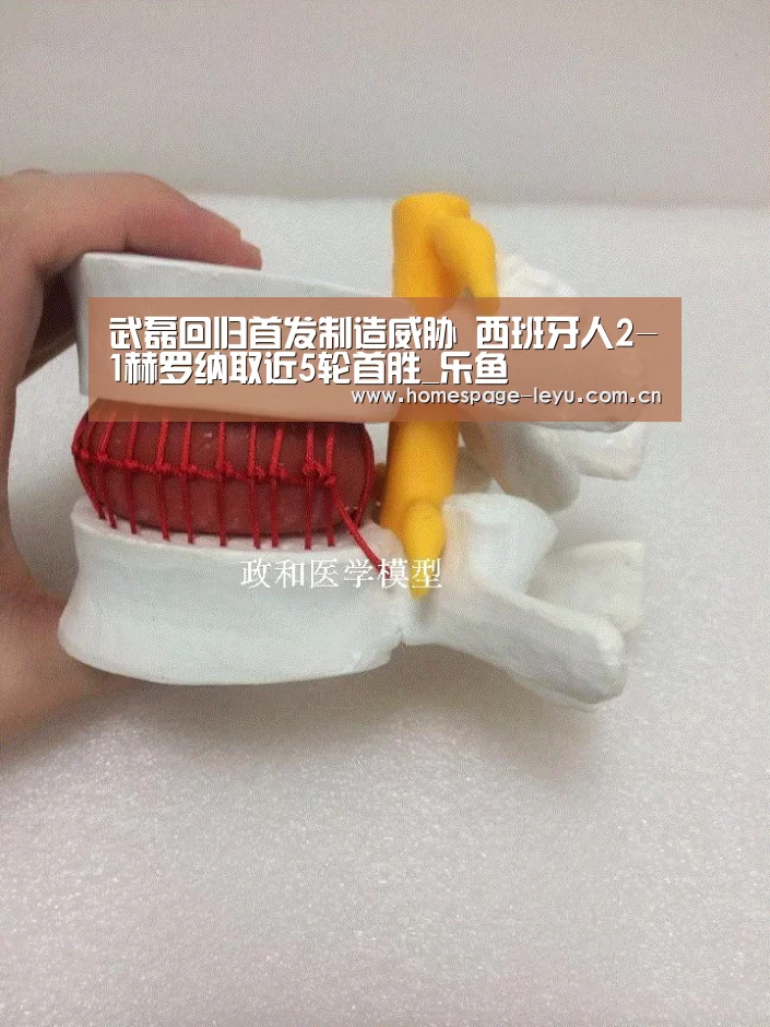 乐鱼